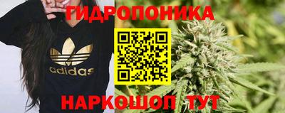 эйфоретик Кунгур