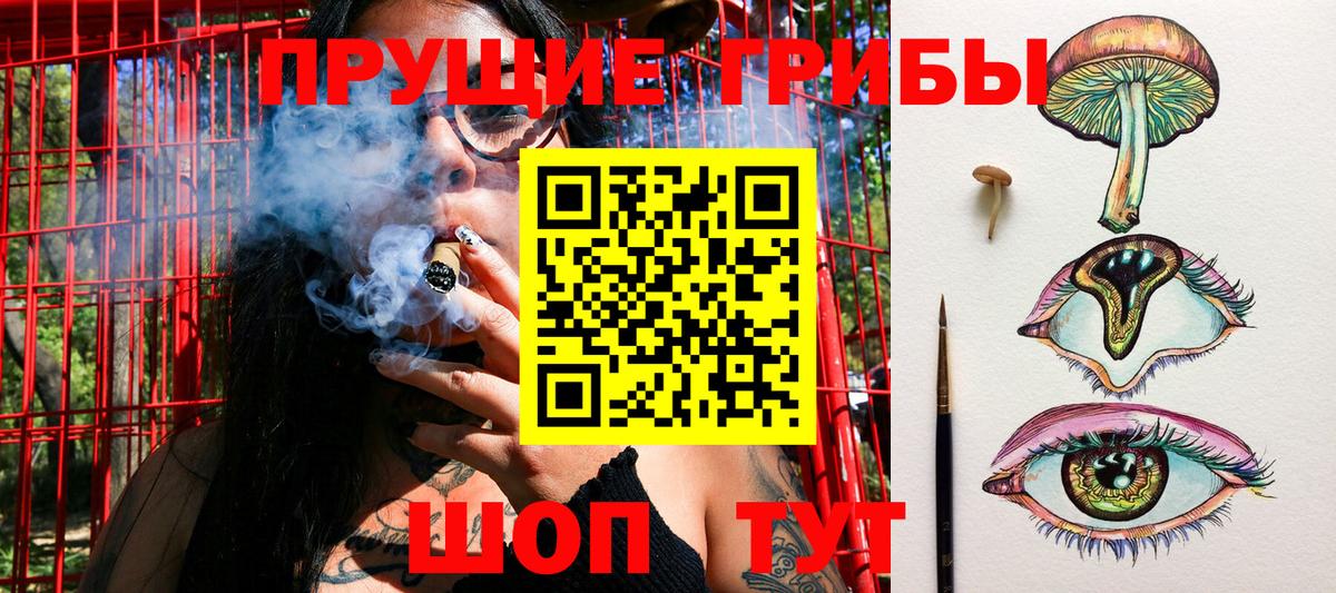 Галлюциногенные грибы Cubensis Еманжелинск